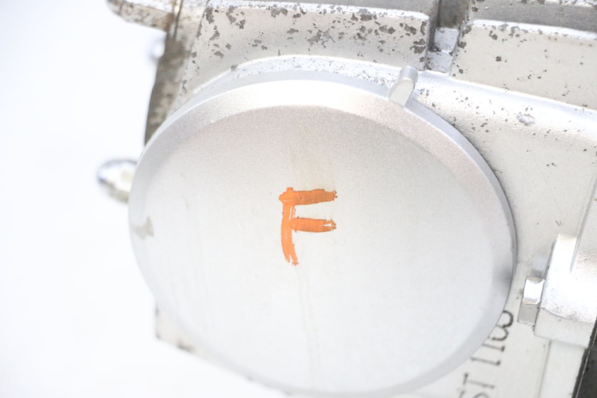 photo de MOTORE SKYTEAM DAX REPLICA 110 (2005 - 2015) - Zoom sui componenti