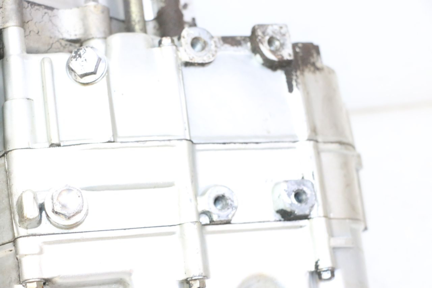 photo de MOTORE SKYTEAM DAX REPLICA 110 (2005 - 2015) - Focus sulla struttura