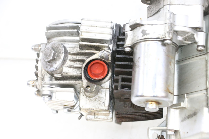 photo de MOTORE SKYTEAM DAX REPLICA 110 (2005 - 2015) - Angolazione alternativa