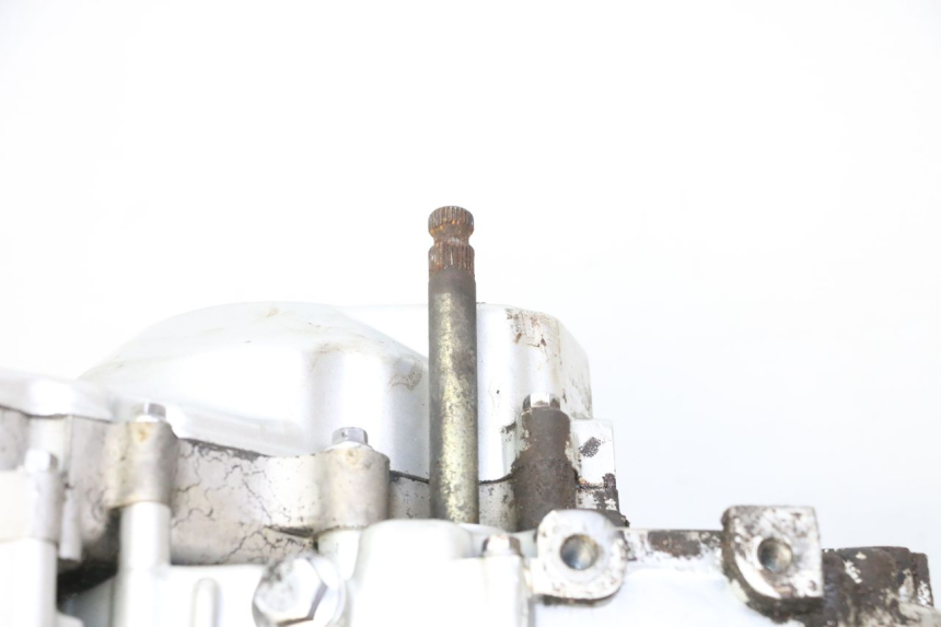 photo de MOTORE SKYTEAM DAX REPLICA 110 (2005 - 2015) - Zoom qualità usato