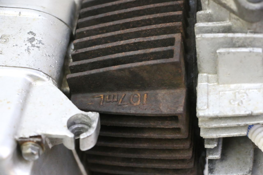 photo de MOTORE SKYTEAM DAX REPLICA 110 (2005 - 2015) - Zoom sullo stato d'uso