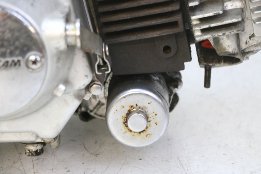 photo de MOTORE SKYTEAM DAX REPLICA 110 (2005 - 2015) - Primo piano tecnico