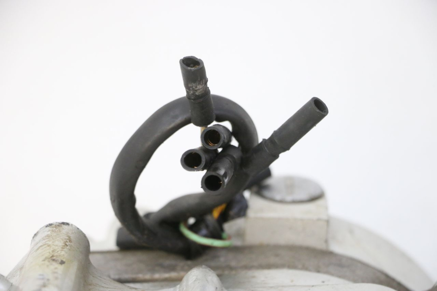 photo de MOTORE SKYTEAM DAX REPLICA 110 (2005 - 2015) - Vista d'insieme del prodotto