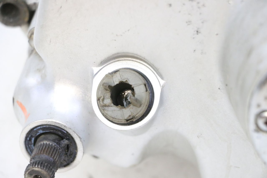 photo de MOTORE SKYTEAM DAX REPLICA 110 (2005 - 2015) - Stato della superficie e materiale