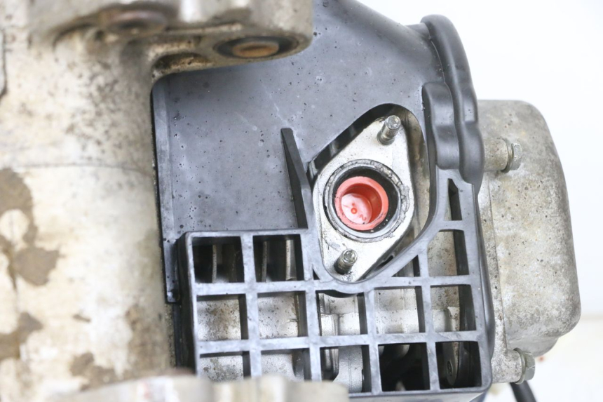 photo de MOTORE LONGJIA DIGITA 4T 50 (2019 - 2022) - Zoom sullo stato d'uso