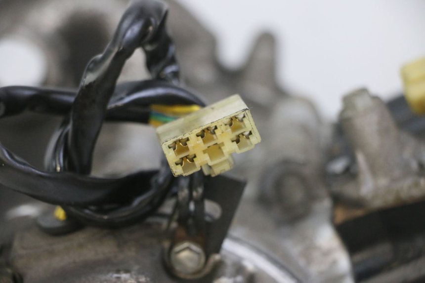 photo de MOTORE PEUGEOT ELYSTAR 125 (2002 - 2007) - Focus sulla struttura