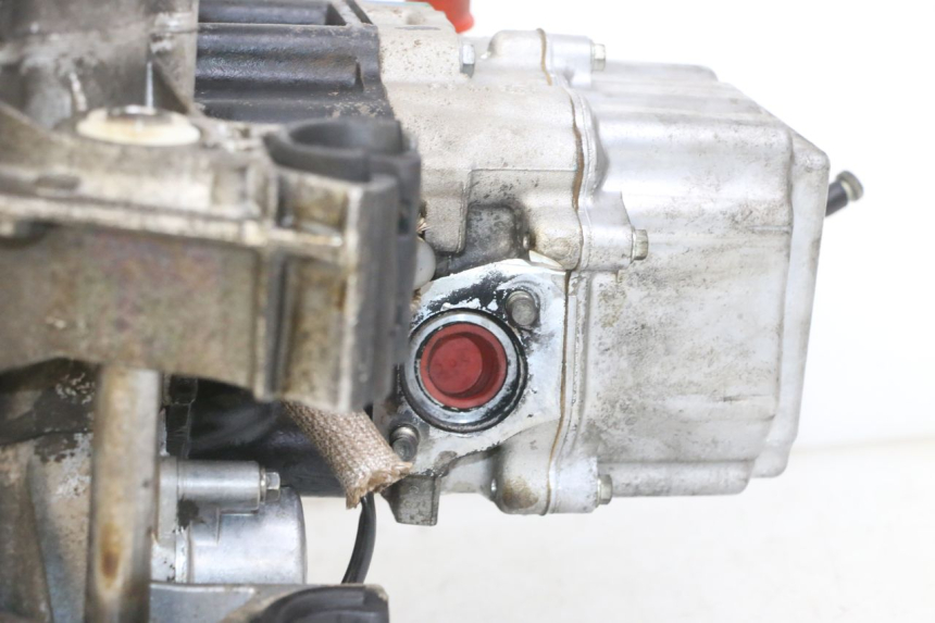 photo de MOTORE PEUGEOT ELYSTAR 125 (2002 - 2007) - Altra angolazione