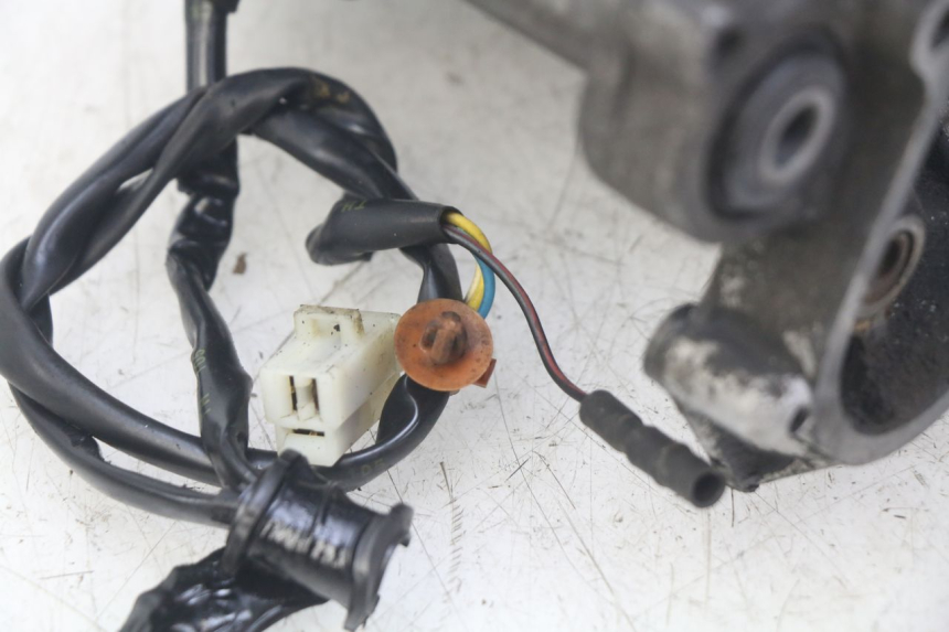 photo de MOTORE PEUGEOT ELYSTAR 50 (2002 - 2014) - Zoom sui componenti