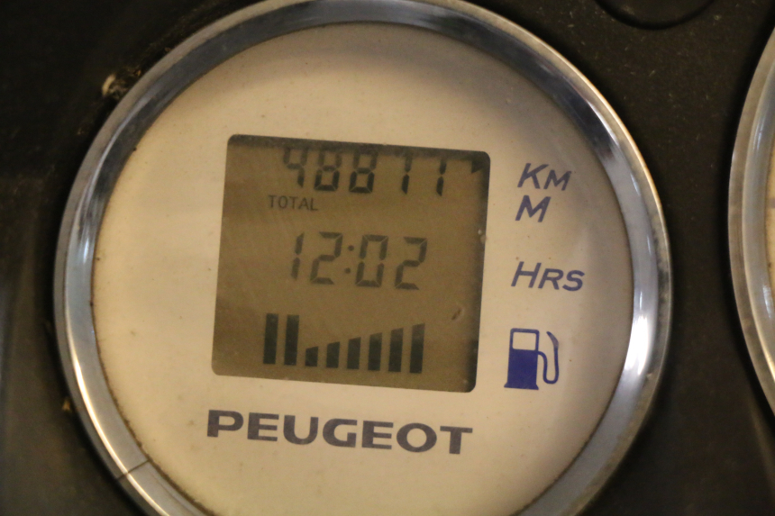 photo de MOTORE PEUGEOT ELYSTAR 50 (2002 - 2014) - Zoom qualità usato