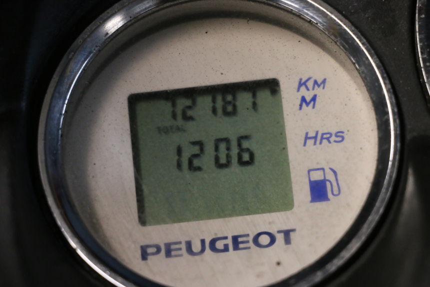 photo de MOTORE PEUGEOT ELYSTAR 50 (2002 - 2014) - Zoom sullo stato d'uso
