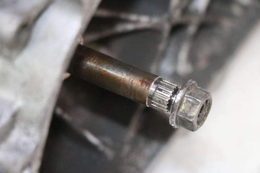 photo de MOTORE PEUGEOT ELYSTAR 50 (2002 - 2014) - Zoom sullo stato d'uso