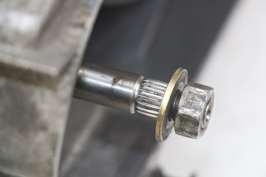 photo de MOTORE HONDA FES PANTHEON 125 (2003 - 2007) - Primo piano ad alta risoluzione