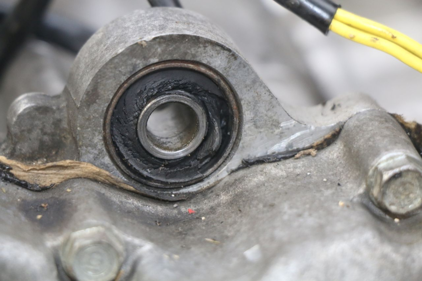 photo de MOTORE HONDA FES PANTHEON 125 (2003 - 2007) - Altra angolazione