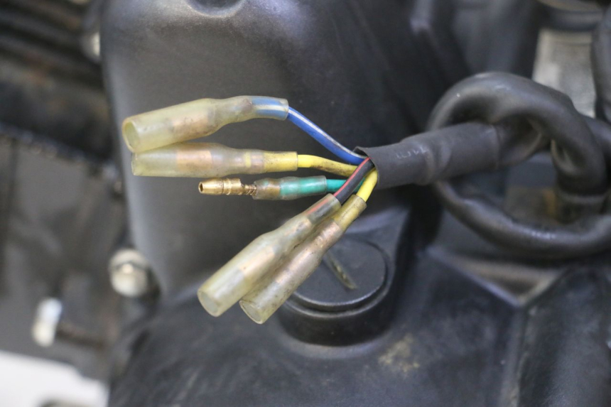 photo de MOTORE STAHO FH 50 (2018 - 2019) - Caratteristiche distintive