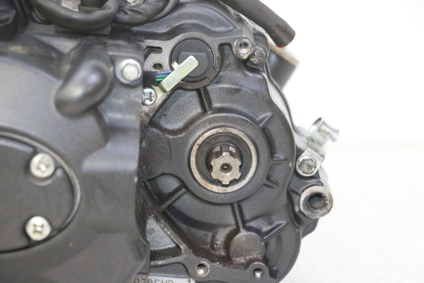 photo de MOTORE STAHO FH 50 (2018 - 2019) - Primo piano ad alta risoluzione