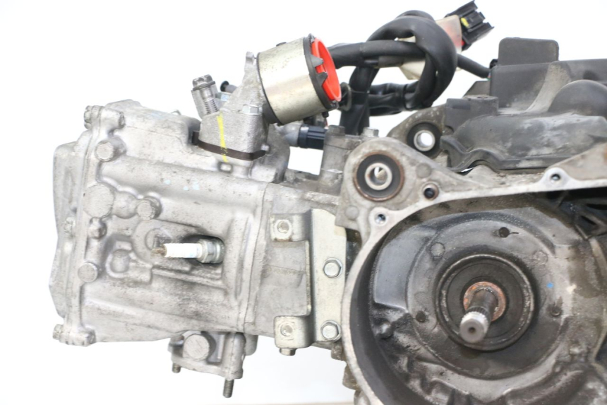 photo de MOTORE HONDA FORZA 125 (2021 - 2025) - Primo piano ad alta risoluzione