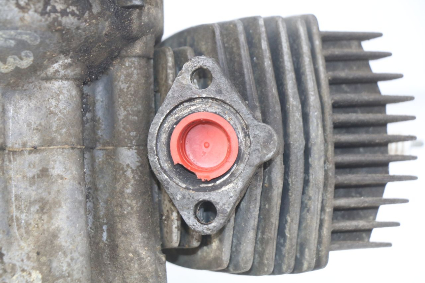 photo de MOTORE PEUGEOT FOX 50 (1995 - 2003) - Dettaglio del componente