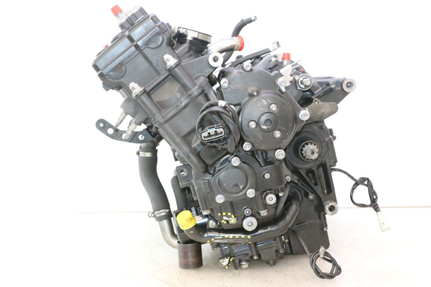 photo de MOTORE YAMAHA FZ8 800 (2010 - 2016) - Dettaglio del componente