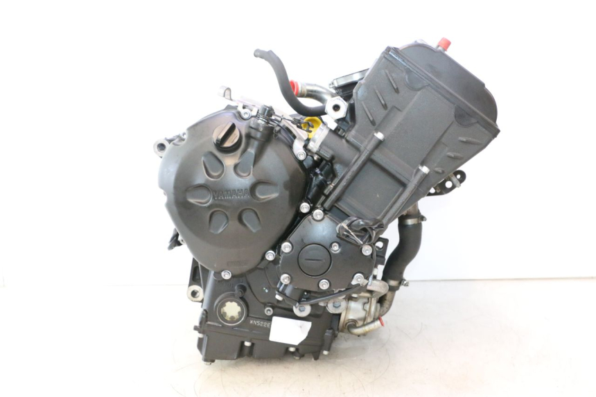 photo de MOTORE YAMAHA FZ8 800 (2010 - 2016) - Caratteristiche distintive