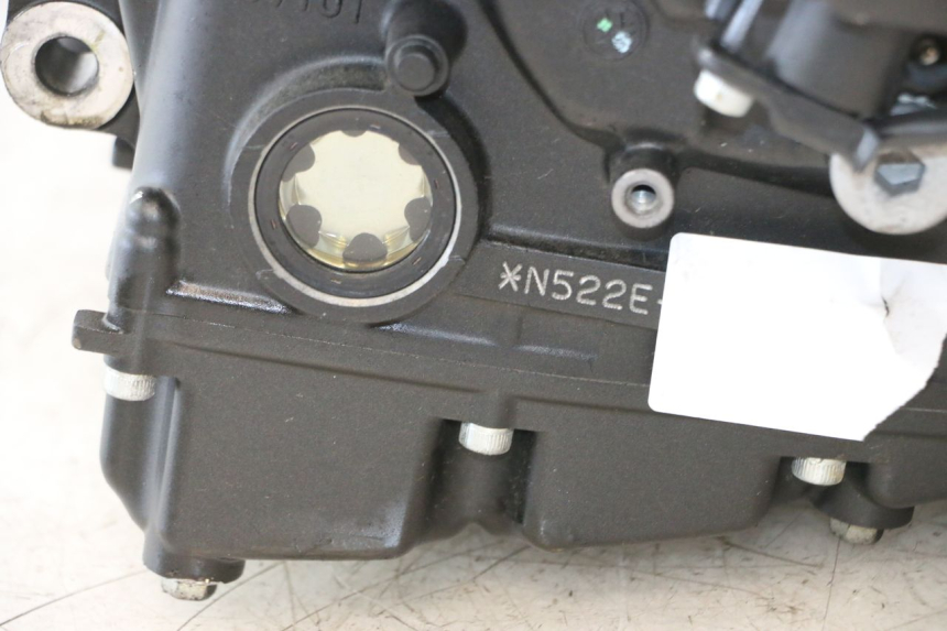 photo de MOTORE YAMAHA FZ8 800 (2010 - 2016) - Zoom sui componenti