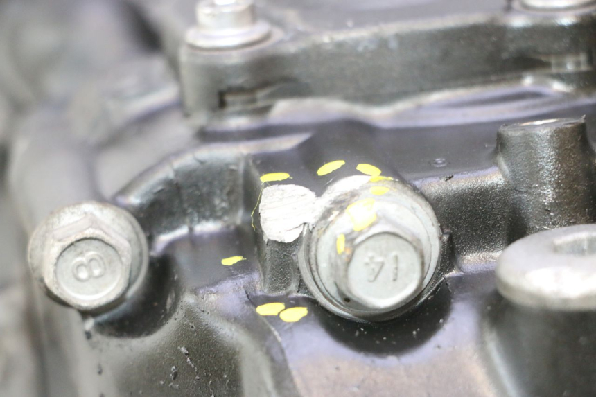 photo de MOTORE YAMAHA FZ8 800 (2010 - 2016) - Stato della superficie e materiale