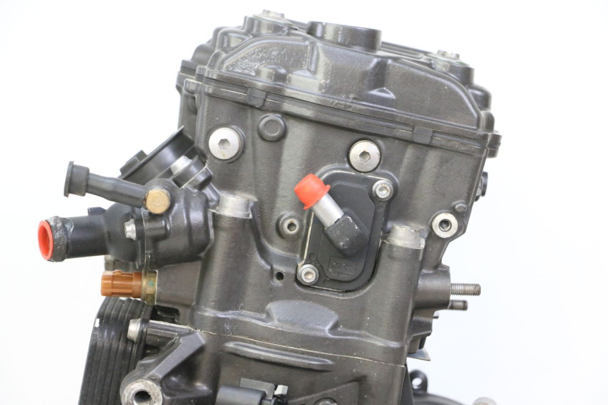 photo de MOTORE BMW G310 R 310 (2016 - 2020) - Caratteristiche distintive