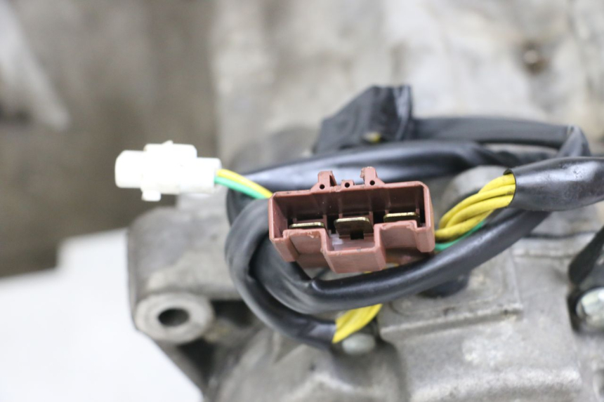 photo de MOTORE PEUGEOT GEOPOLIS RS 125 (2007 - 2009) - Marcature e riferimenti originali