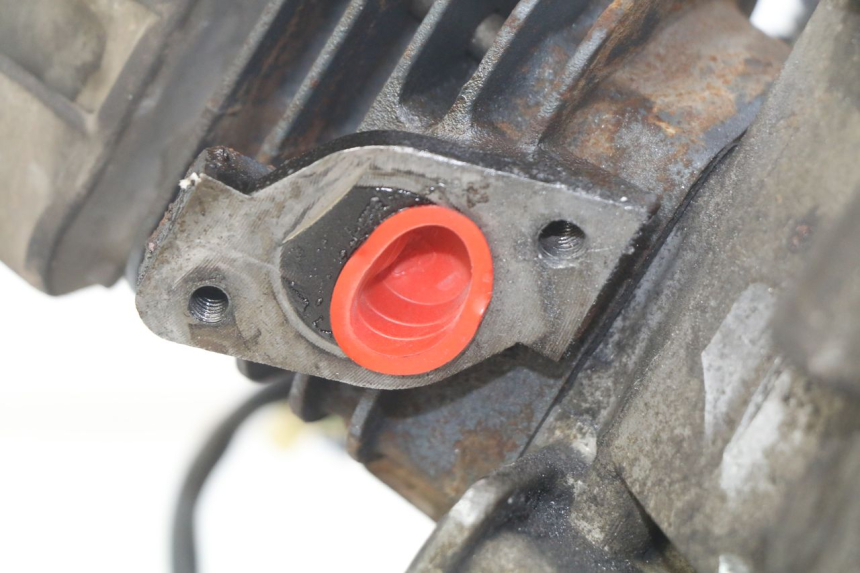 photo de MOTORE TNT MOTOR GRIDO 2T 50 (2010 - 2019) - Dettaglio del componente