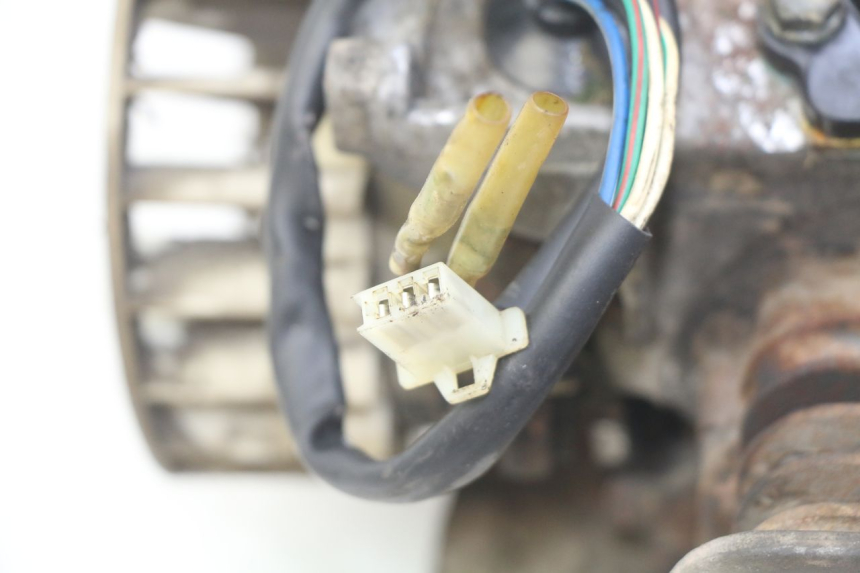 photo de MOTORE TNT MOTOR GRIDO 2T 50 (2010 - 2019) - Zoom sui componenti