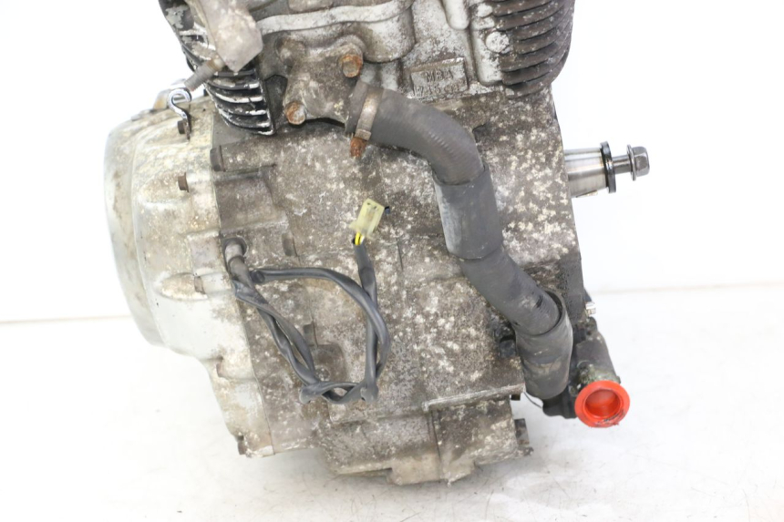 photo de MOTORE HONDA VT C2 SHADOW 750 (1997 - 2001) - Dettaglio del componente