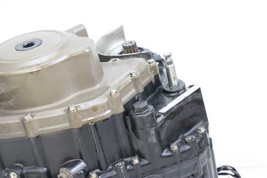 photo de MOTORE HUSQVARNA SVARTPILEN 401 (2018 - 2023) - Dettaglio del componente