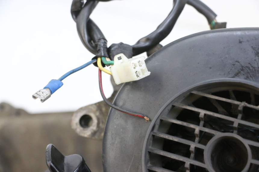 photo de MOTORE PEUGEOT KISBEE 4T 50 (2010 - 2017) - Dettaglio del componente