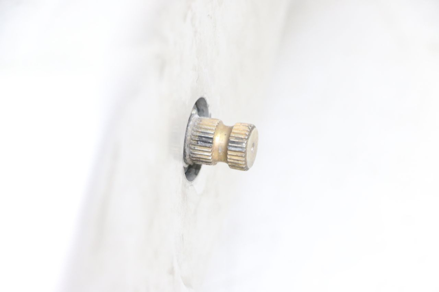 photo de MOTORE KYMCO PEOPLE S 125 (2000 - 2008) - Primo piano ad alta risoluzione