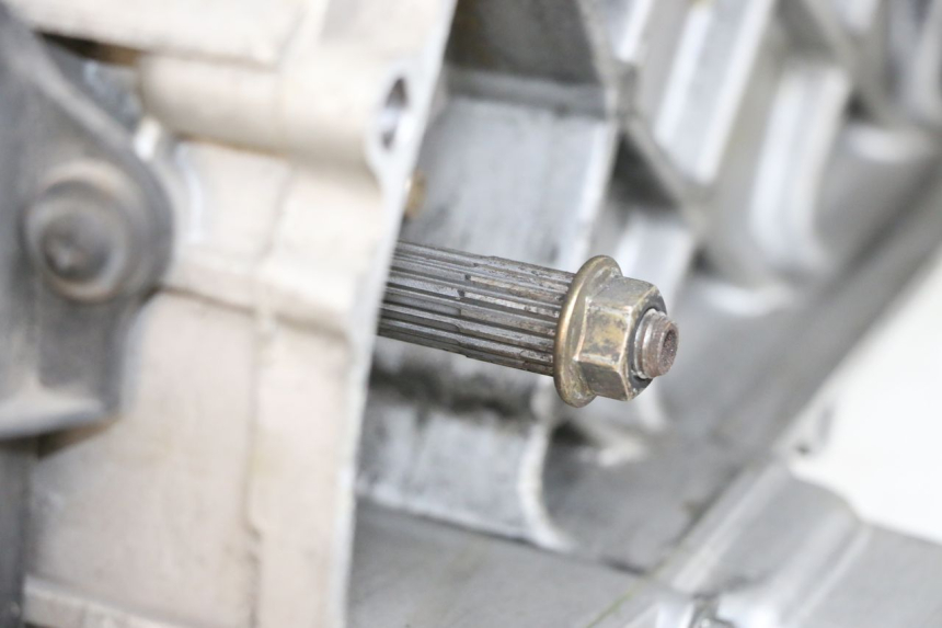 photo de MOTORE PIAGGIO LIBERTY 4T 50 (2018 - 2021) - Caratteristiche distintive