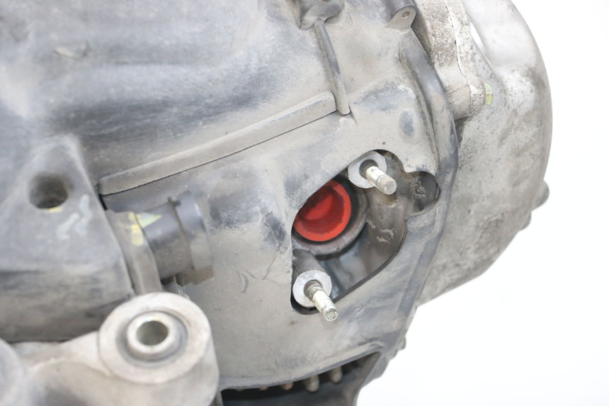 photo de MOTORE PIAGGIO LIBERTY 4T 50 (2018 - 2021) - Zoom sullo stato d'uso