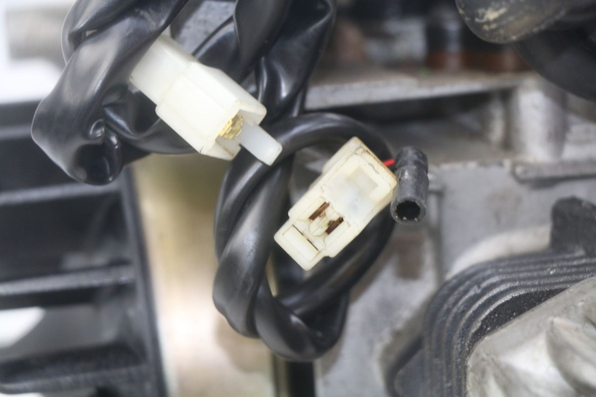 photo de MOTORE PEUGEOT LUDIX 50 (2005 - 2007) - Zoom qualità usato