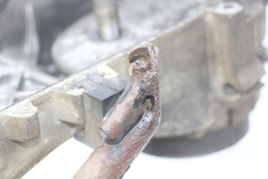 photo de MOTORE PEUGEOT LUDIX 50 (2005 - 2007) - Zoom sullo stato d'uso