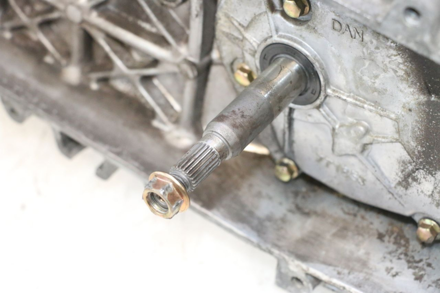 photo de MOTORE PEUGEOT LUDIX PRO 2T 50 (2010 - 2017) - Zoom sui componenti