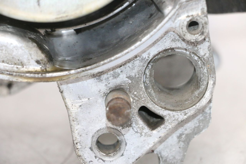 photo de MOTORE PEUGEOT LUDIX PRO 2T 50 (2010 - 2017) - Vista principale