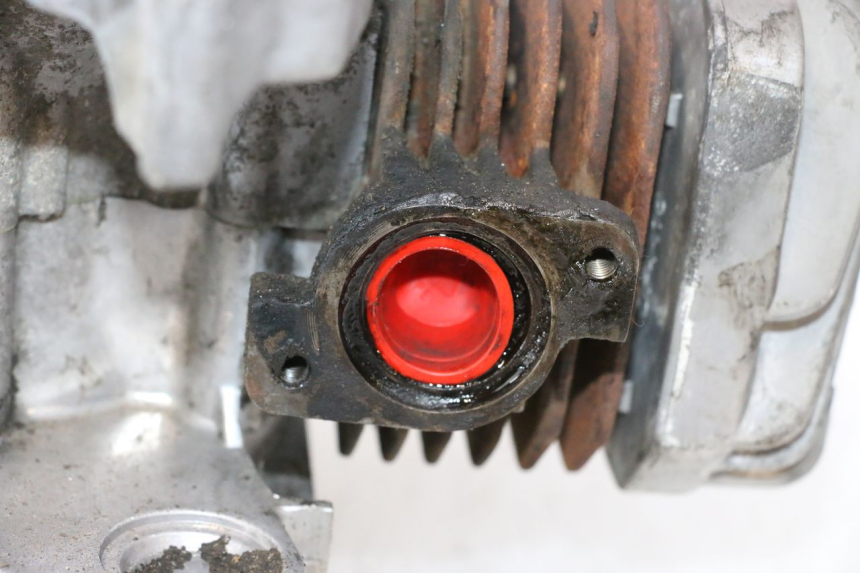 photo de MOTORE PEUGEOT LUDIX PRO 2T 50 (2010 - 2017) - Stato della superficie e materiale