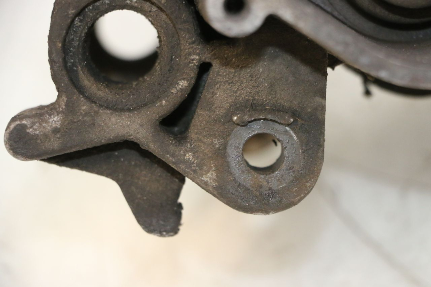 photo de MOTORE PEUGEOT LUDIX SNAKE 2T 50 (2004 - 2014) - Dettaglio del componente