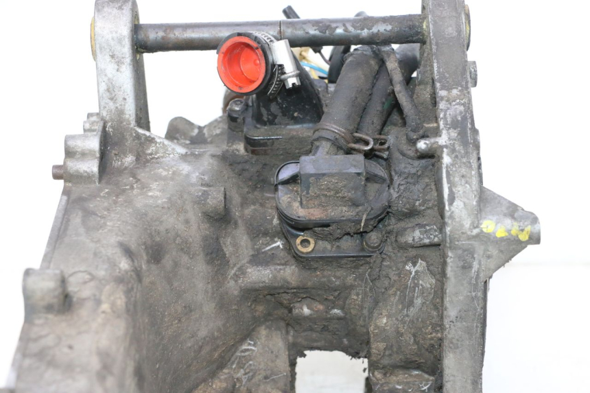 photo de MOTORE PEUGEOT LUDIX SNAKE 2T 50 (2004 - 2014) - Altra vista dell'articolo