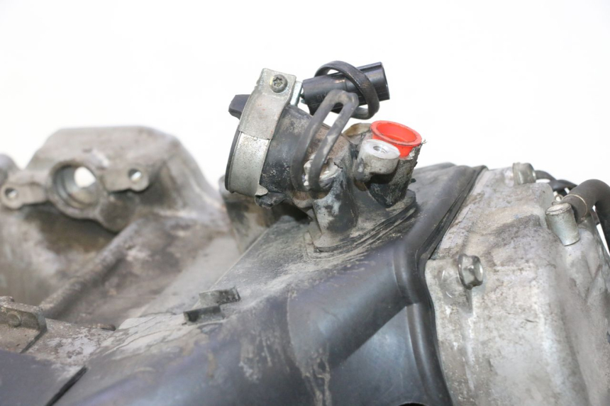 photo de MOTORE KYMCO LIKE 4T 50 (2019 - 2025) - Dettaglio del componente