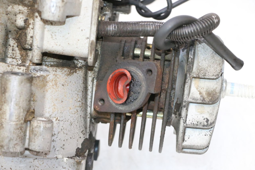 photo de MOTORE IMF INDUSTRIE NEW PACH 2T 50 (2014 - 2020) - Marcature e riferimenti originali