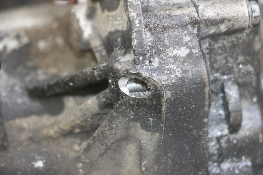 photo de MOTORE GILERA NEXUS 125 (2009 - 2013) - Stato della superficie e materiale