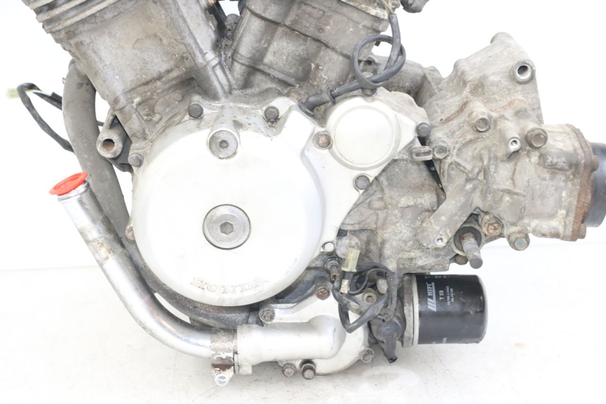 photo de MOTORE HONDA NTV DEAUVILLE 650 (1998 - 2001) - Primo piano ad alta risoluzione