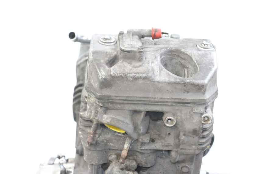 photo de MOTORE HONDA NTV DEAUVILLE 650 (1998 - 2001) - Primo piano tecnico