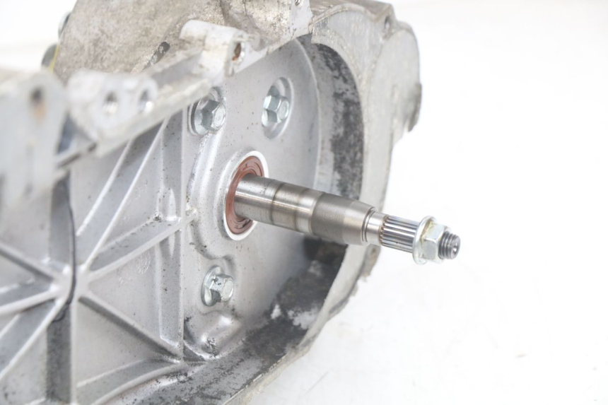 photo de MOTORE JM MOTORS OLDIES RS 4T 50 (2021 - 2024) - Zoom sui componenti