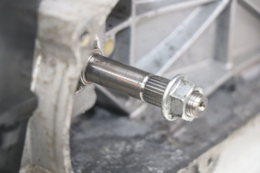 photo de MOTORE JM MOTORS OLDIES RS 4T 50 (2021 - 2024) - Primo piano ad alta risoluzione