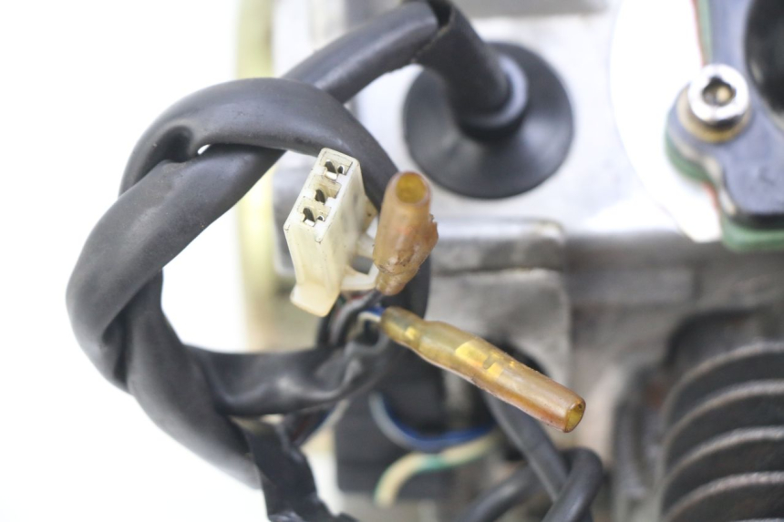 photo de MOTORE IMF INDUSTRIE PACH 2T 50 (2009 - 2018) - Primo piano ad alta risoluzione